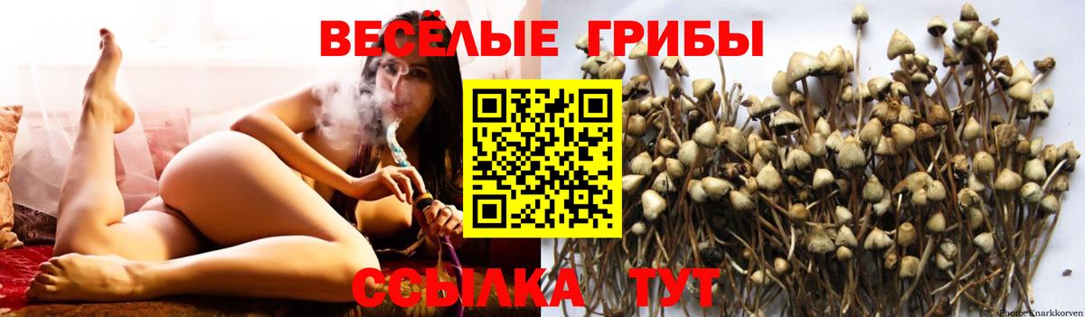 Галлюциногенные грибы Magic Shrooms Салехард